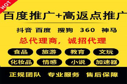 探索SEM代运营公司的经典案例与策略